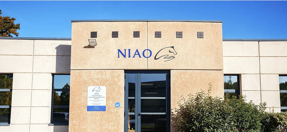 Niao- Mont Saint Aignan — photo 5