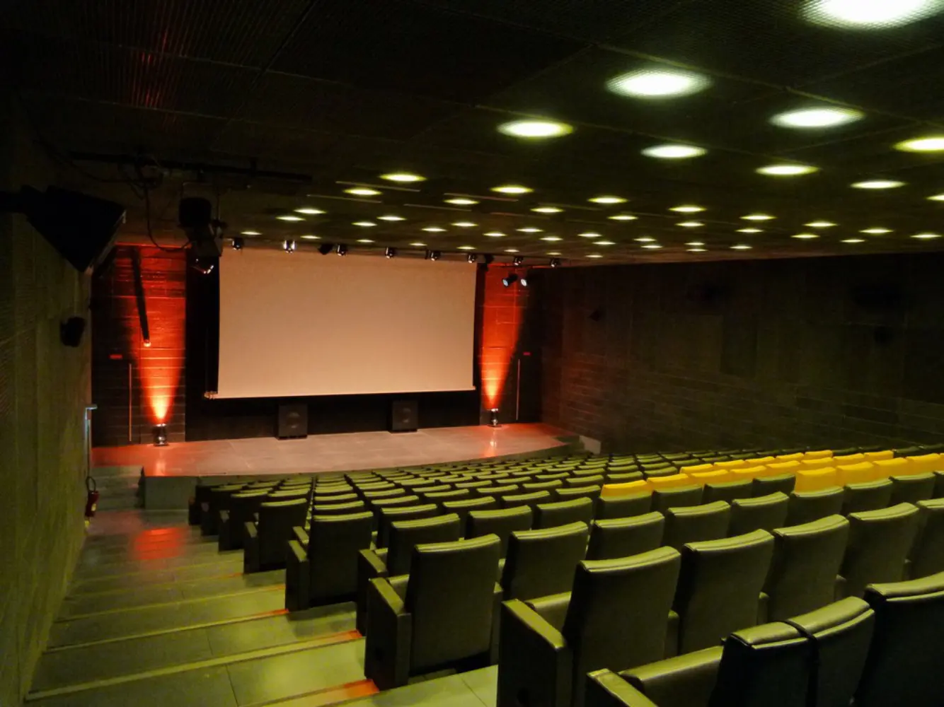 Palais des Beaux Arts — photo 3