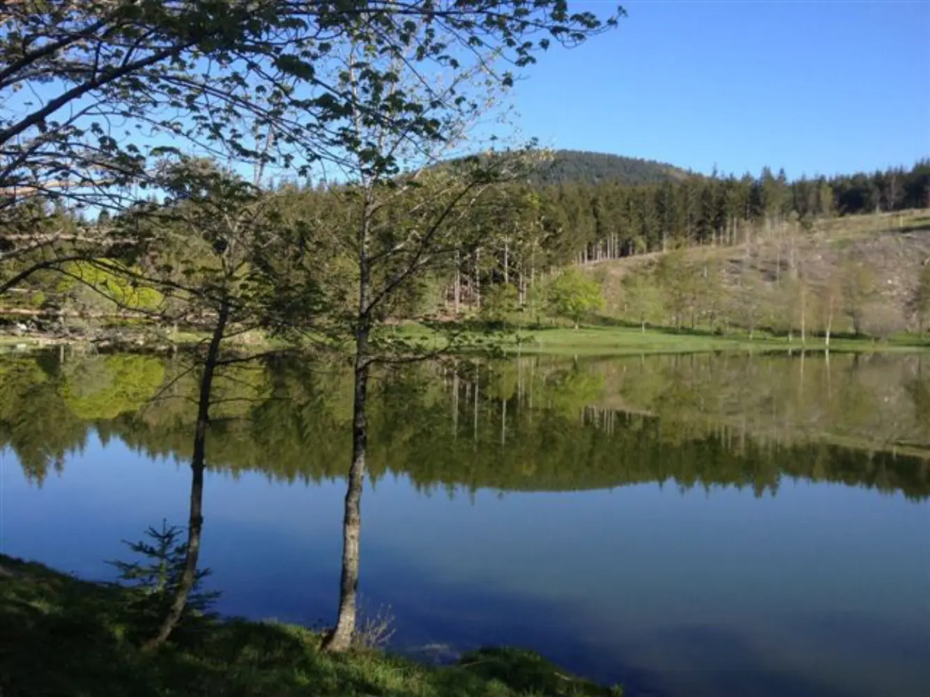 Domaine du Lac Ferrand — photo 5