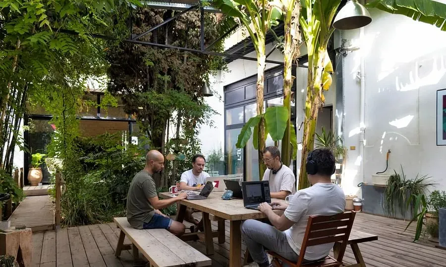 The Island - Coworking, Bureaux, Salles & Patio végétalisé — photo 5
