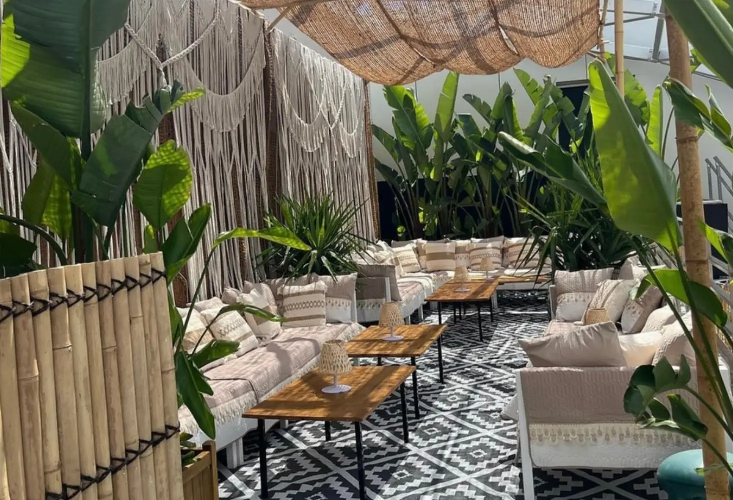 Art View