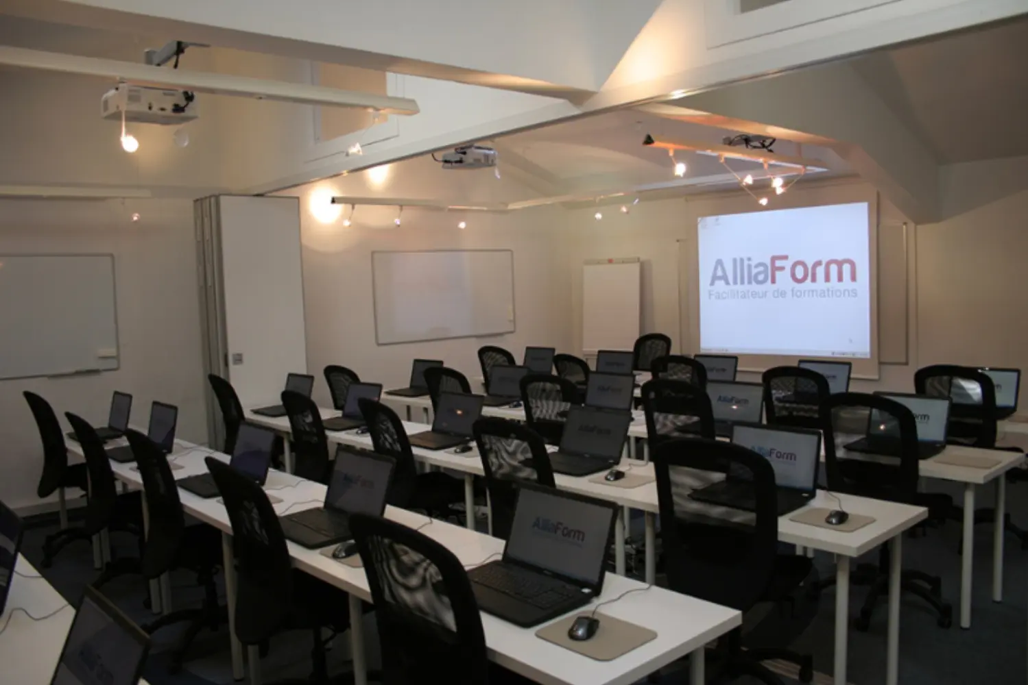 Alliaform — photo 5