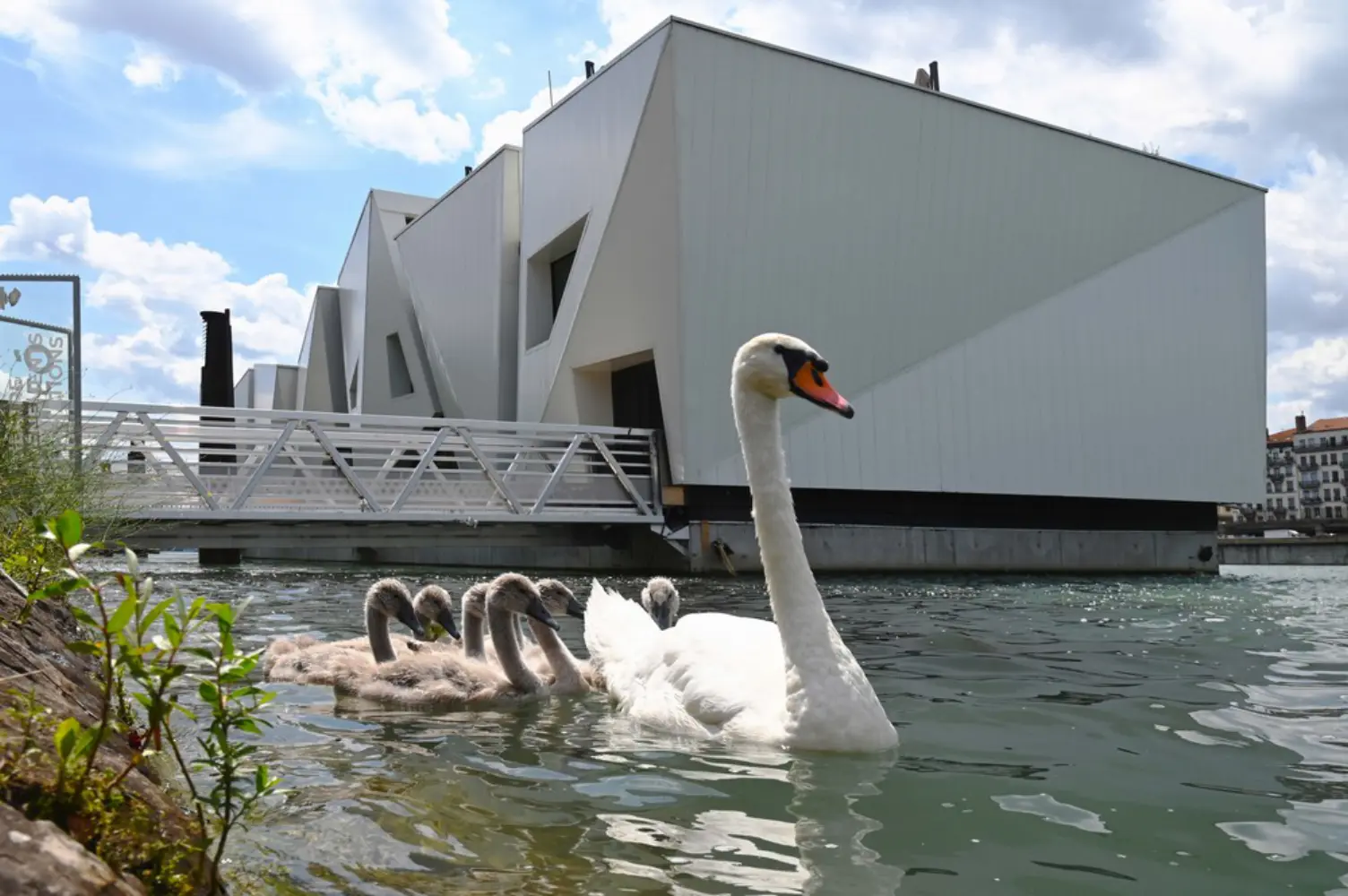 Théâtre L’île Ô — photo 5