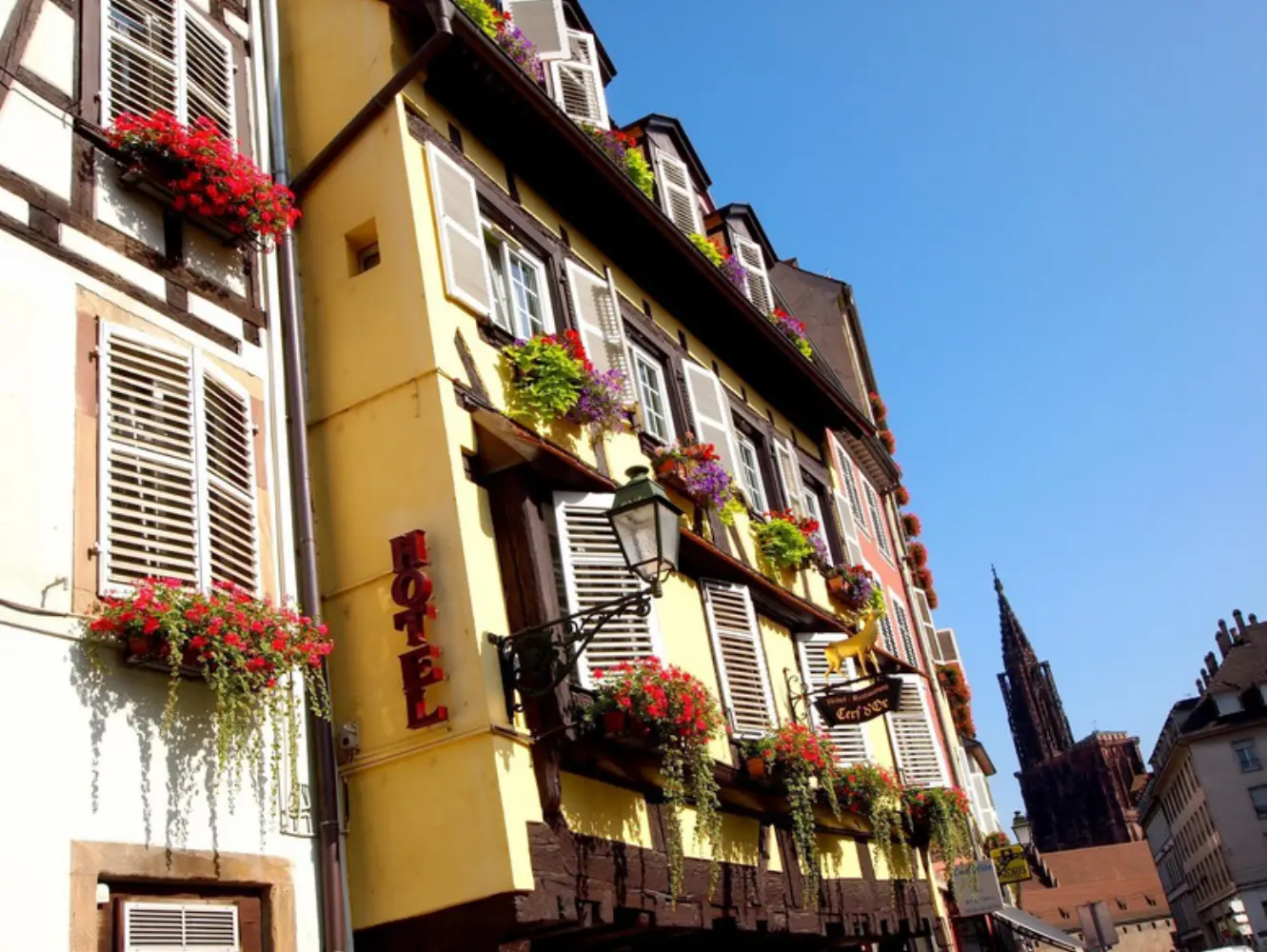 Logis Hôtel Au Cerf d'Or — photo 4