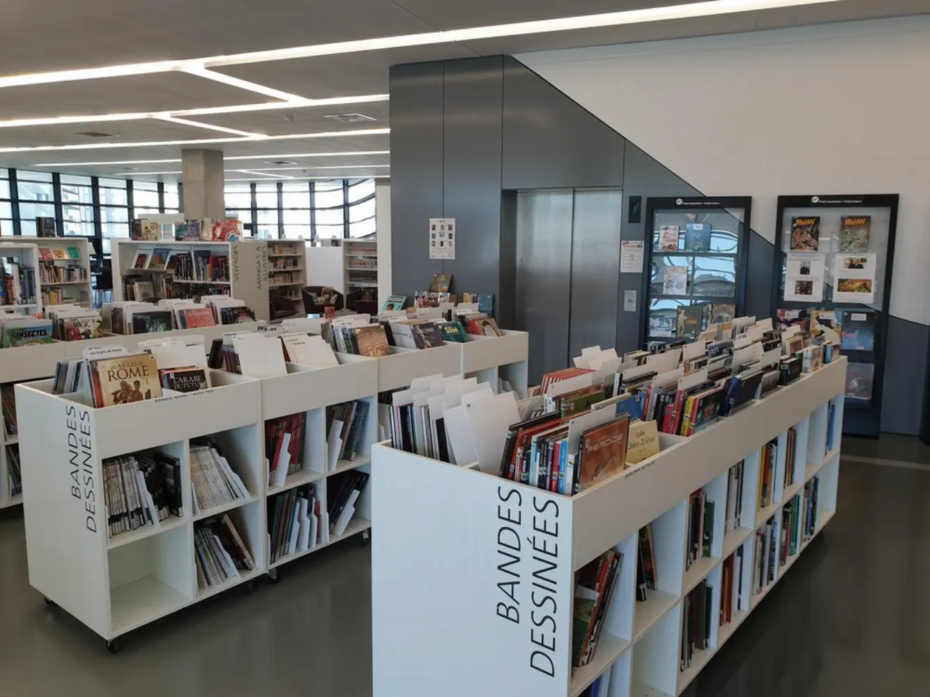 Médiathèque Pierresvives — photo 3