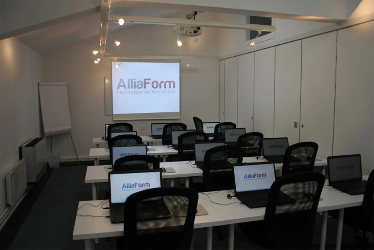 Alliaform — photo 4