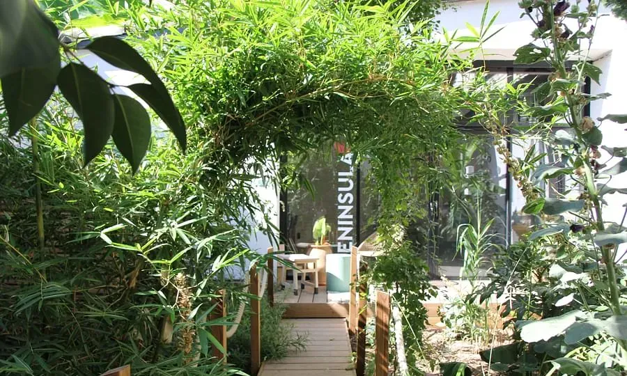 The Island - Coworking, Bureaux, Salles & Patio végétalisé — photo 4